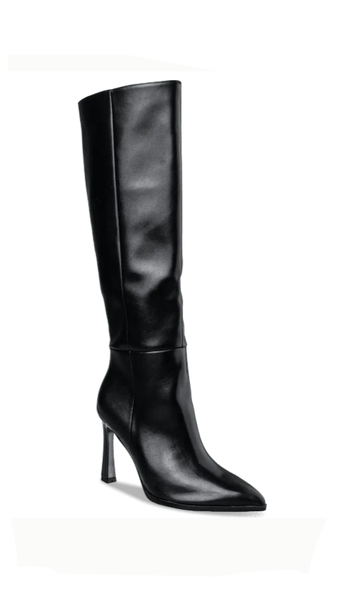 POINTED TOE BOOTS